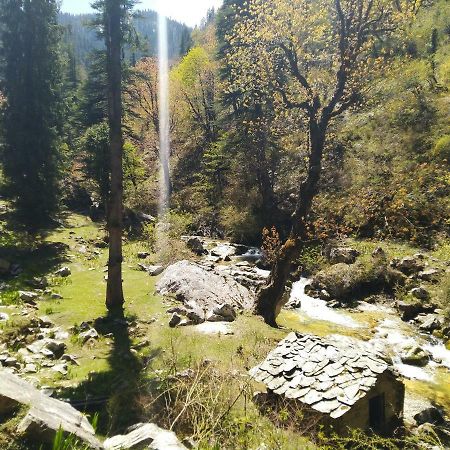 Latoda Eco Lodge Jibhi Bagian luar foto