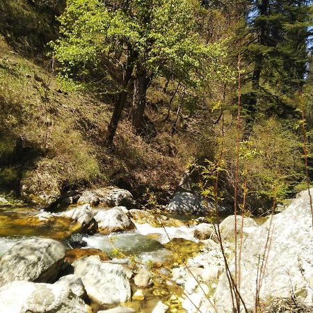Latoda Eco Lodge Jibhi Bagian luar foto