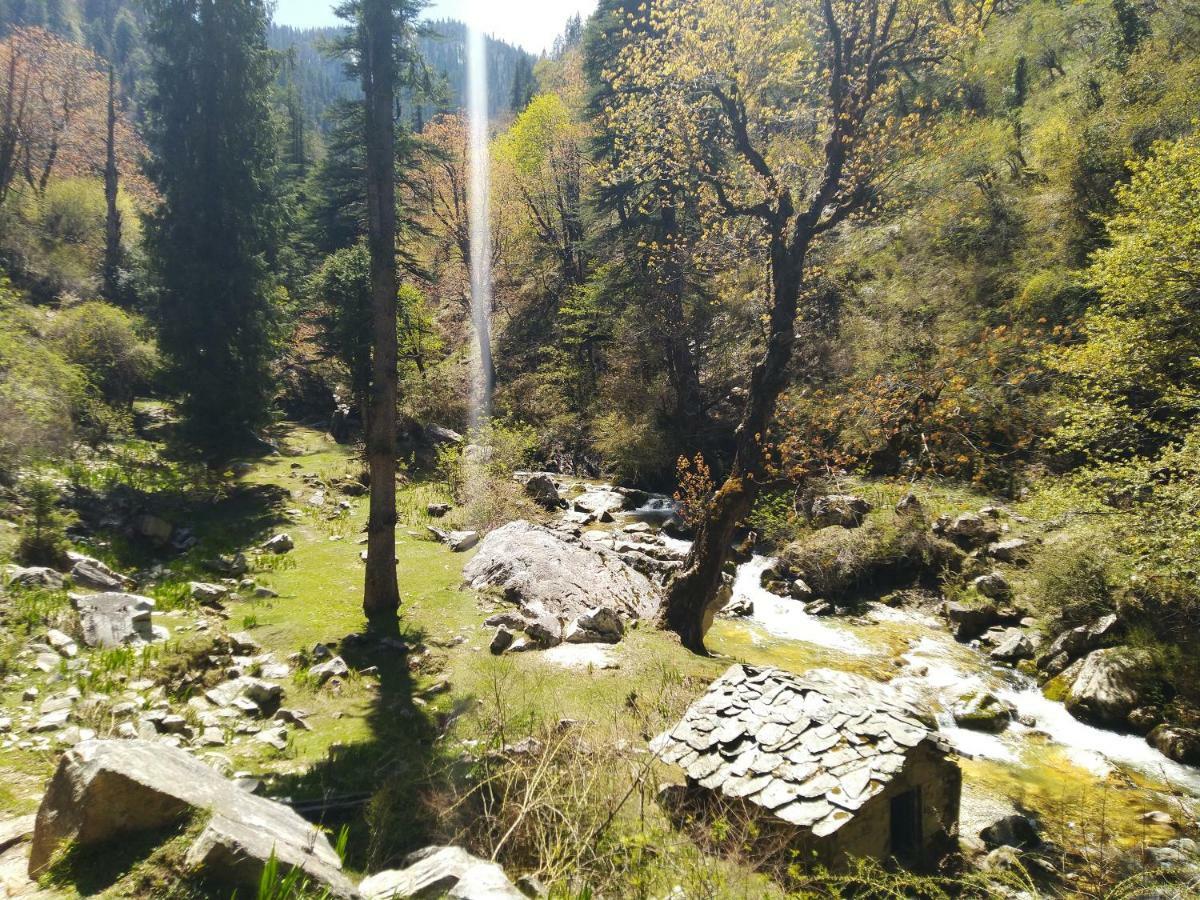 Latoda Eco Lodge Jibhi Bagian luar foto