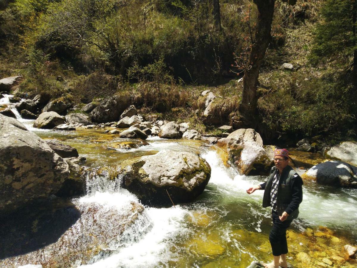 Latoda Eco Lodge Jibhi Bagian luar foto